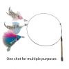 Cat supplies Simulated birds Interactive cat toys Funny feather birds and clock cat stick Kitten toys