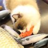 Cat Toy Simulation Fish Toy Pet Plush Cat Mint Fish Kitten