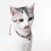 Touchcat Lucky Charms Designer Cable Necklace Cat Collar