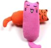 Cat Catnip Toys Playing Teeth Cleaning Plush Pillow Scratcher Pet Catnip Teeth Grinding Chew Toys